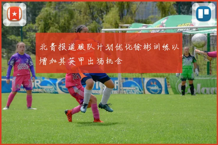 北青报道狼队计划优化徐彬训练以增加其英甲出场机会