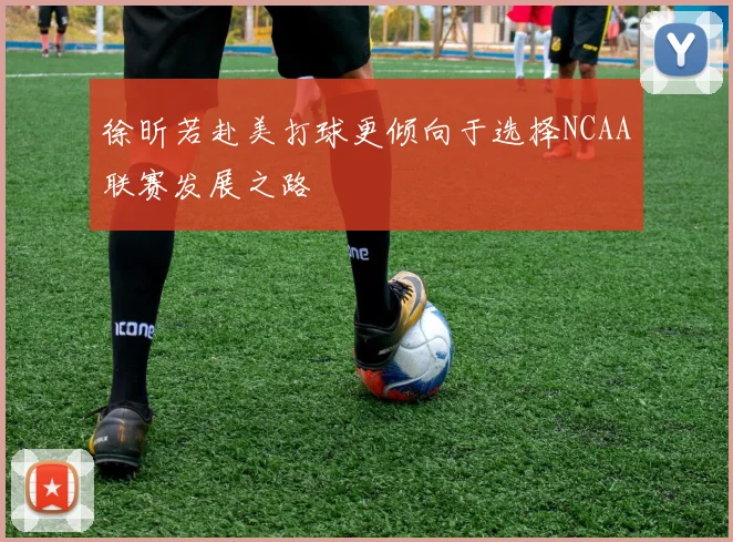 徐昕若赴美打球更倾向于选择NCAA联赛发展之路